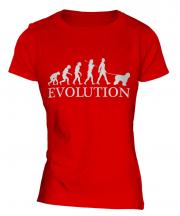 Old English Sheepdog Evolution Ladies T-Shirt