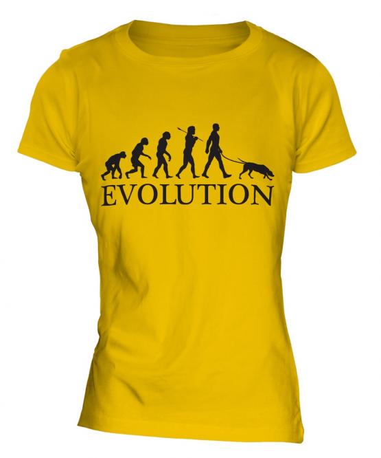 Pointer Evolution Ladies T-Shirt
