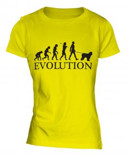 Polish Lowland Sheepdog Evolution Ladies T-Shirt