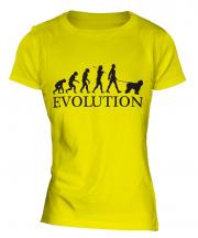Polish Lowland Sheepdog Evolution Ladies T-Shirt