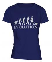Pomeranian Evolution Ladies T-Shirt