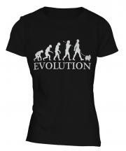 Pomeranian Evolution Ladies T-Shirt