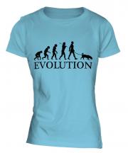 Rhodesian Ridgeback Evolution Ladies T-Shirt