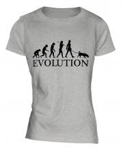 Rhodesian Ridgeback Evolution Ladies T-Shirt
