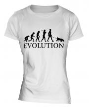 Rhodesian Ridgeback Evolution Ladies T-Shirt
