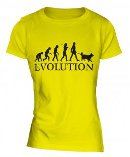 Shetland Sheepdog Evolution Ladies T-Shirt