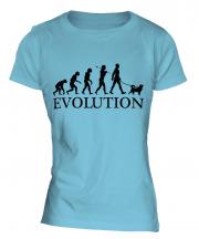 Shiba Inu Evolution Ladies T-Shirt