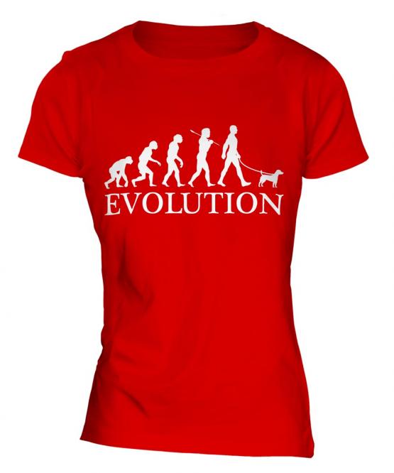 Fox Terrier Evolution Ladies T-Shirt