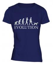 Wheaten Terrier Evolution Ladies T-Shirt