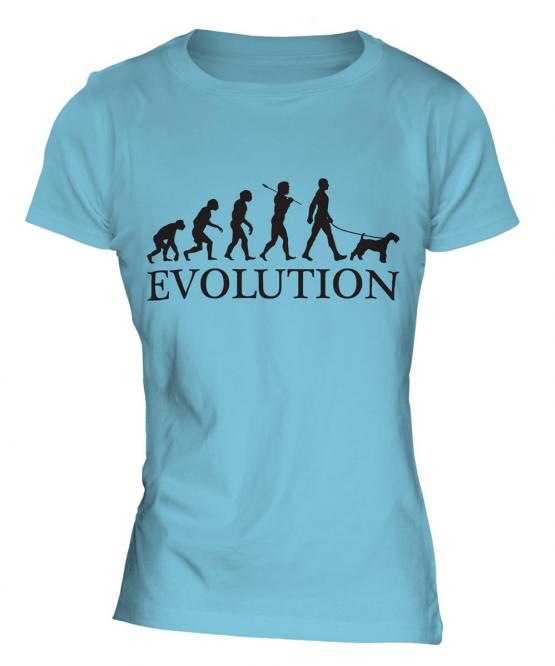 Wheaten Terrier Evolution Ladies T-Shirt