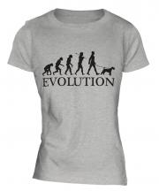 Wheaten Terrier Evolution Ladies T-Shirt