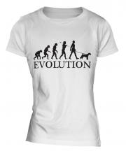 Wheaten Terrier Evolution Ladies T-Shirt