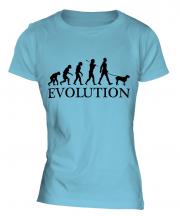 Spinone Italiano Evolution Ladies T-Shirt