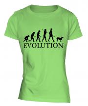 Spinone Italiano Evolution Ladies T-Shirt