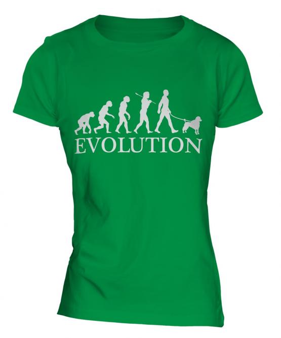 Poodle Evolution Ladies T-Shirt