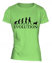 Sussex Spaniel Evolution Ladies T-Shirt