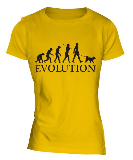 Swedish Vallhund Evolution Ladies T-Shirt