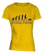 Swedish Vallhund Evolution Ladies T-Shirt