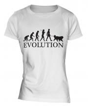 Tibetan Mastiff Evolution Ladies T-Shirt