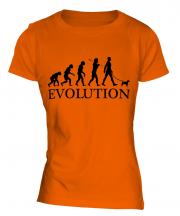 Toy Fox Terrier Evolution Ladies T-Shirt