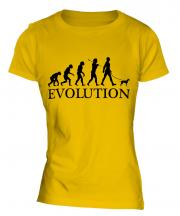 Toy Manchester Terrier Evolution Ladies T-Shirt