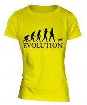 Toy Manchester Terrier Evolution Ladies T-Shirt