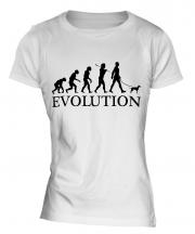Toy Manchester Terrier Evolution Ladies T-Shirt