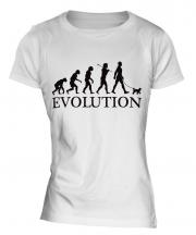 Toy Poodle Evolution Ladies T-Shirt