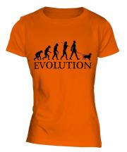 Welsh Springer Spaniel Evolution Ladies T-Shirt