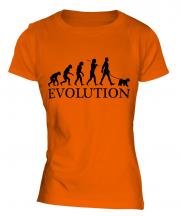 Welsh Terrier Evolution Ladies T-Shirt