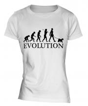Welsh Terrier Evolution Ladies T-Shirt