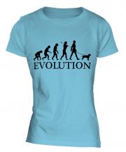 American Staffordshire Terrier Evolution Ladies T-Shirt