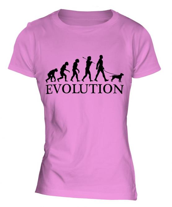 American Staffordshire Terrier Evolution Ladies T-Shirt
