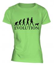 American Staffordshire Terrier Evolution Ladies T-Shirt