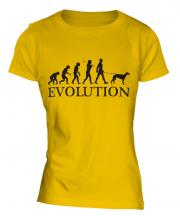 Whippet Evolution Ladies T-Shirt