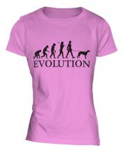Whippet Evolution Ladies T-Shirt
