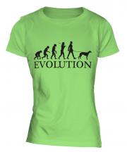 Whippet Evolution Ladies T-Shirt