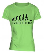 Yorkshire Terrier Evolution Ladies T-Shirt