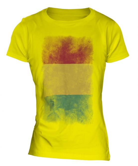 Guinea Faded Flag Ladies T-Shirt