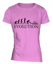 Tree Surgeon Evolution Ladies T-Shirt