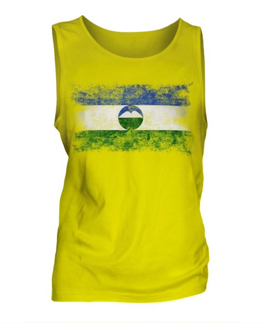 Kabardino-Balkaria Distressed Flag Mens Vest