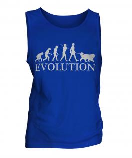 Bernese Mountain Dog Evolution Mens Vest