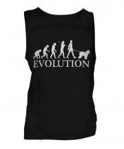 Old English Sheepdog Evolution Mens Vest