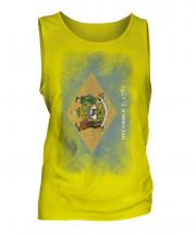 Delaware State Faded Flag Mens Vest