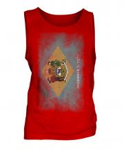 Delaware State Faded Flag Mens Vest