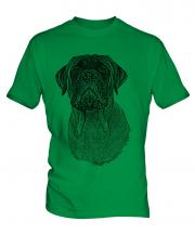Bullmastiff Sketch Mens T-Shirt