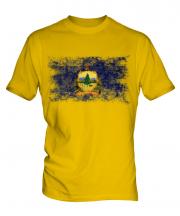 Vermont State Distressed Flag Mens T-Shirt