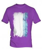 Altai Republic Grunge Flag Mens T-Shirt