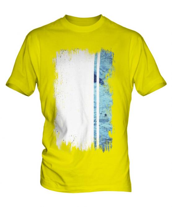 Altai Republic Grunge Flag Mens T-Shirt