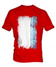 Altai Republic Grunge Flag Mens T-Shirt